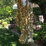 Kaja Appartamento *