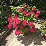 Kaja Appartamento