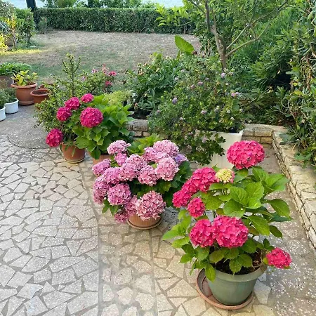 Kaja Apartment Barbat na Rabu