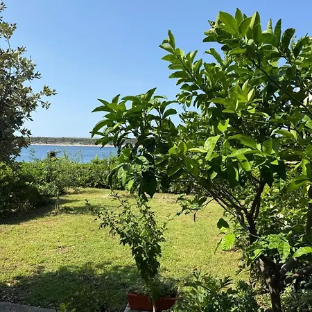 Apartman Kaja