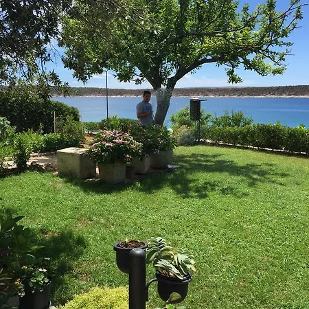 Kaja Barbat na Rabu